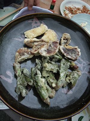 どっぽ村の山菜採り報告〜ヤマアカガエルのつぶやき〜