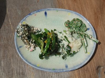 どっぽ村の山菜採り報告〜ヤマアカガエルのつぶやき〜