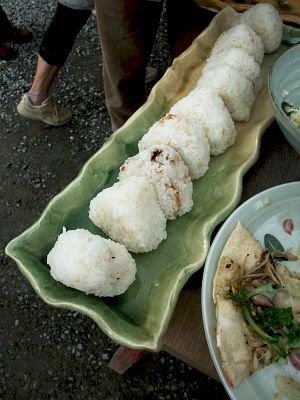 どっぽ村の山菜採り報告〜ヤマアカガエルのつぶやき〜