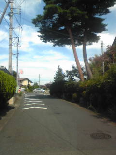 お通じがよくなった♪