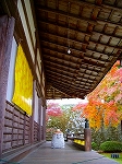 アートなお寺。。。