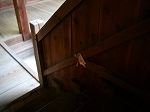 アートなお寺。。。