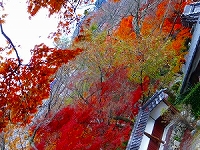 アートなお寺。。。