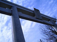 坂本盆梅展その1