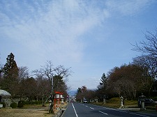 坂本盆梅展その1