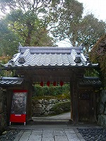 坂本盆梅展その1