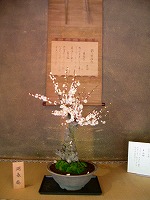 旧竹林院庭園~坂本盆梅展その3~
