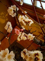 旧竹林院庭園~坂本盆梅展その3~
