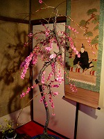 旧竹林院庭園~坂本盆梅展その3~