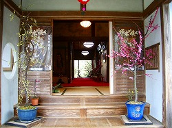 坂本盆梅展その1