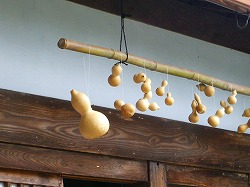 坂本盆梅展その1