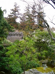 旧竹林院庭園~坂本盆梅展その3~