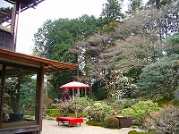 旧竹林院庭園~坂本盆梅展その3~