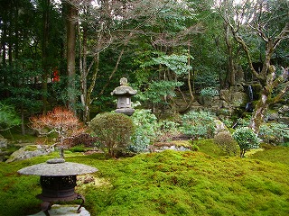 旧竹林院庭園~坂本盆梅展その2~