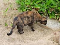 記念すべき第一号は…2