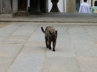 記念すべき第一号は…2