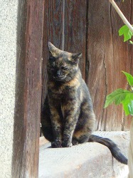 記念すべき第一号は…2
