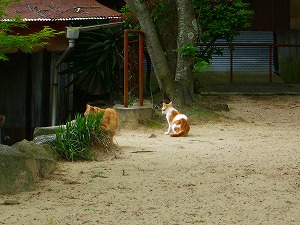 恐怖体験のあと・・・・