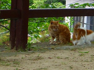 恐怖体験のあと・・・・