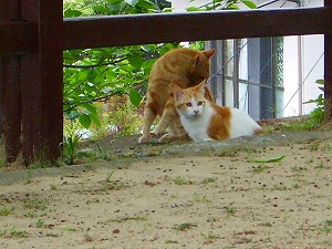恐怖体験のあと・・・・