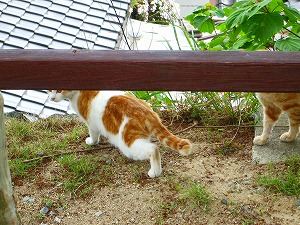 恐怖体験のあと・・・・
