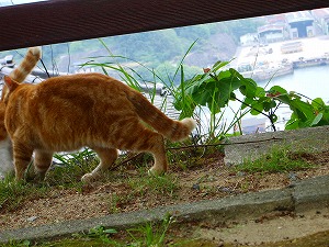 恐怖体験のあと・・・・