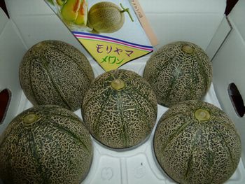 守山メロン❤