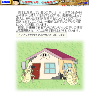 シロアリさんの勉強家を開催します! シロアリさんの勉強家を開催します!
