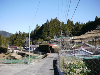 熊野古道を歩く