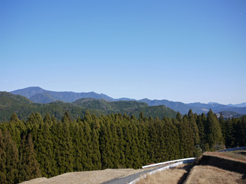 熊野古道を歩く