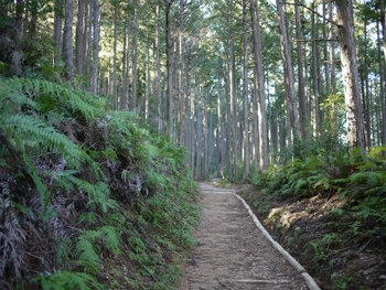 熊野古道を歩く