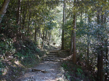 熊野古道を歩く