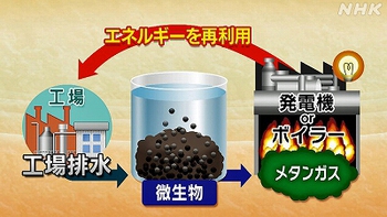 頑張れNHK