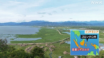 頑張れNHK