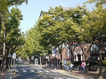 ソウル街歩き