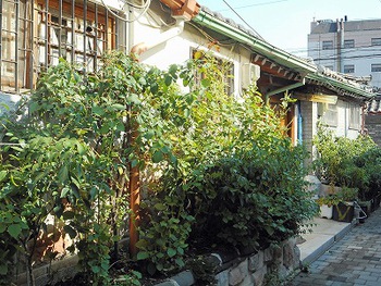 ソウル街歩き