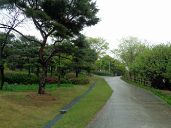 伽耶への旅
