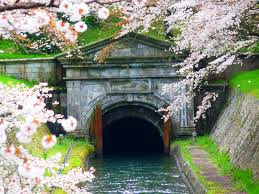疏水が伝える生命の水