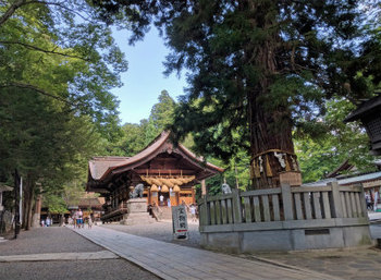 夏はやっぱり信州