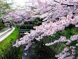 疏水が伝える生命の水