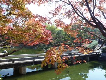 秋色のびわこ文化公園