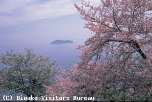 海津の船花見
