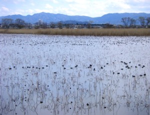 琵琶湖逍遙14周目-14 2011.3.27