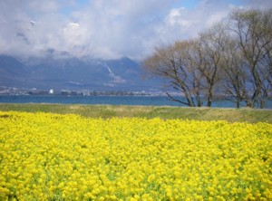 琵琶湖逍遙14周目-14 2011.3.27