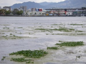 琵琶湖逍遙14周目-7 2010.11.3