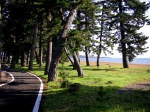 琵琶湖逍遙 近江高島~近江今津 2012.11.19