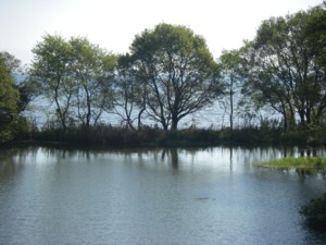 琵琶湖逍遙 近江高島~近江今津 2012.11.19