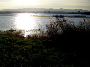 今日の打出浜 2009.12.18