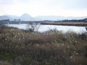 琵琶湖逍遙 堀切港~野ヶ崎 2013.12.12