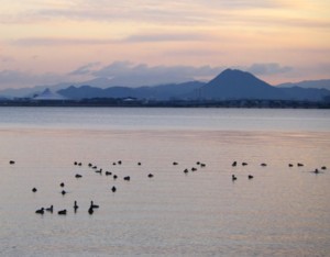 今日の打出浜 2009.12.18